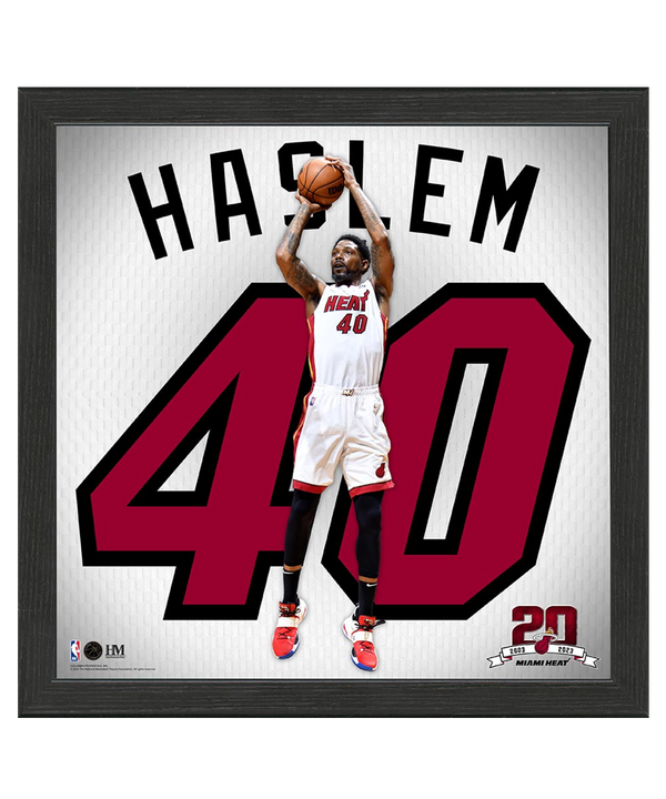 Udonis Haslem Impact 13