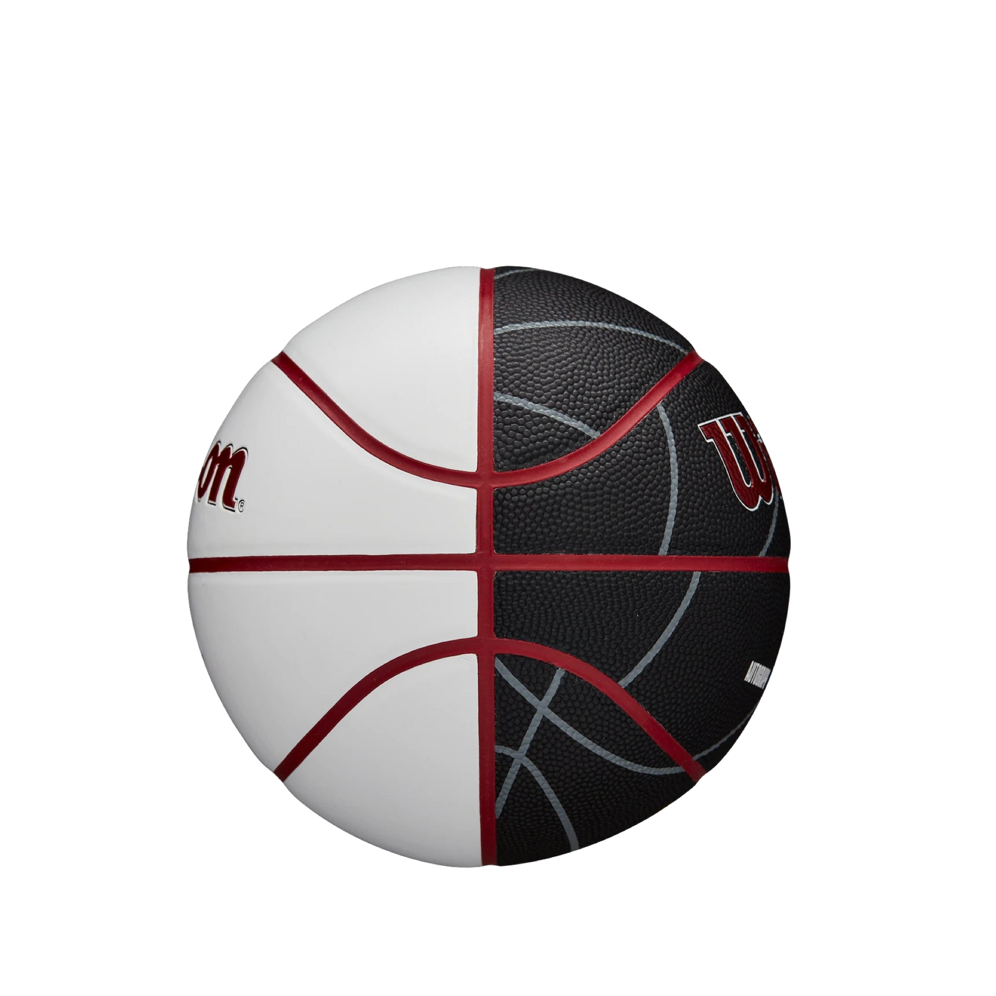 Wilson Miami HEAT Autograph Mini Basketball Novelties Wilson   