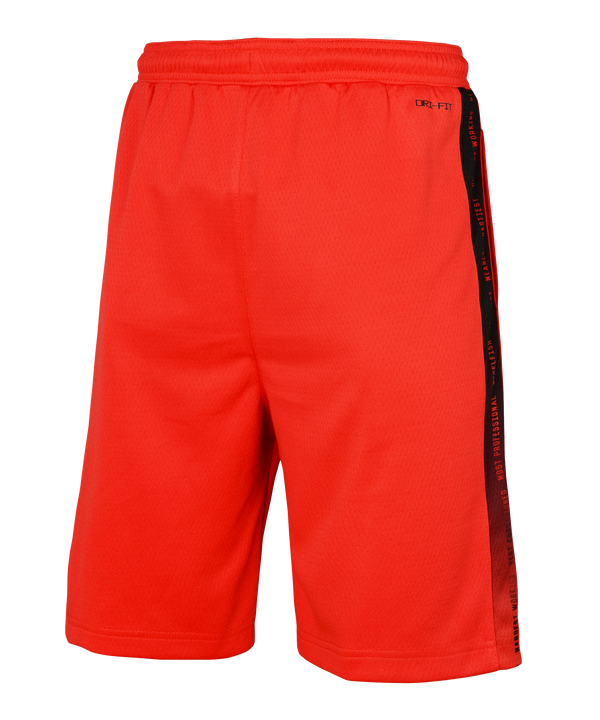 Nike HEAT Culture: Blood Red Youth Swingman Shorts Youth Shorts Nike   