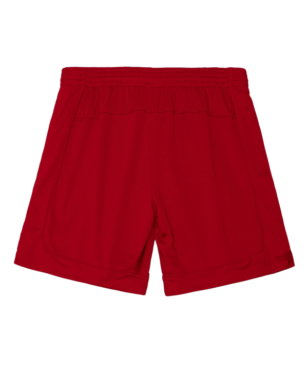 Mitchell and Ness Miami HEAT 2012-13 Christmas Day Authentic Shorts Men Shorts Mitchell & Ness   