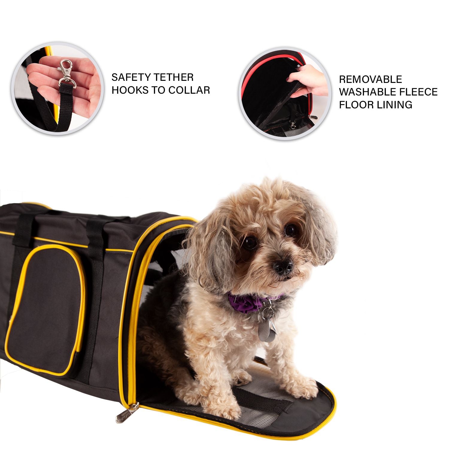 Miami HEAT Premium Pet Carrier Novelties Mojo   